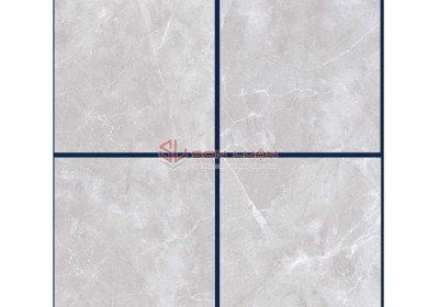 Gạch Ốp Lát APODIO 66284028